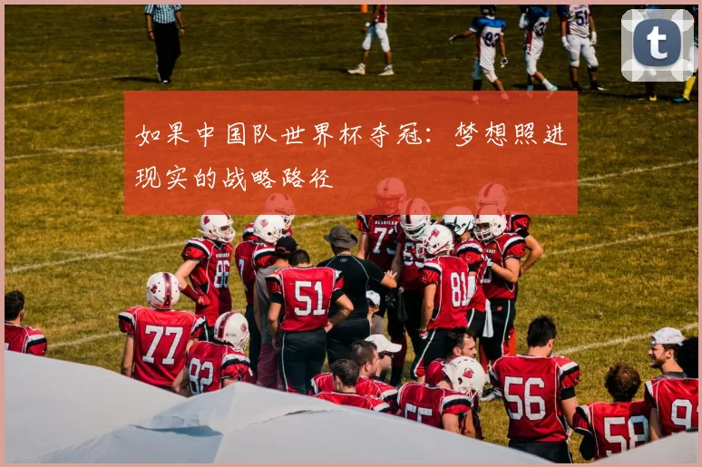 如果中国队世界杯夺冠：梦想照进现实的战略路径