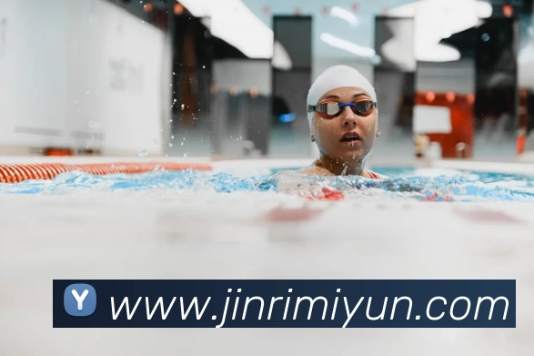 乐竞官网入口平台生态图